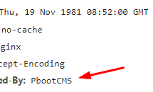 PbootCMS网站怎么去除X-Powered-By