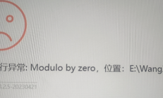 程序运行异常_ Modulo by zero